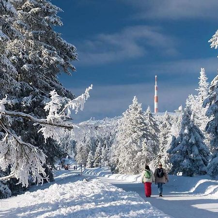 Ferienwohnung Arnika Inklusive Waeschepaket Braunlage Extérieur photo