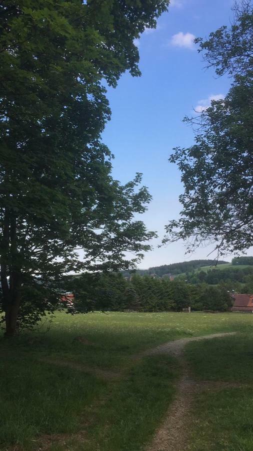 Ferienwohnung Arnika Inklusive Waeschepaket Braunlage Extérieur photo