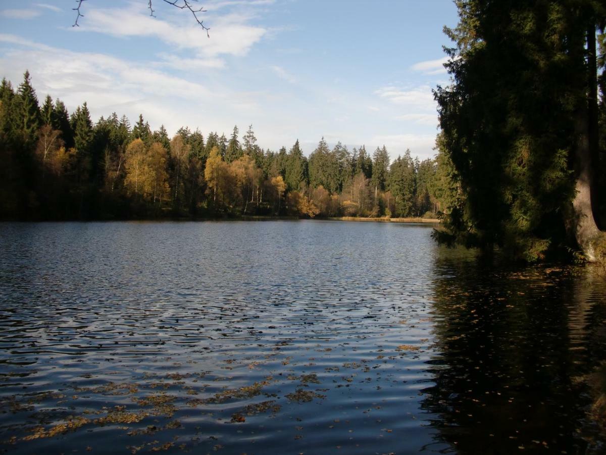 Ferienwohnung Arnika Inklusive Waeschepaket Braunlage Extérieur photo