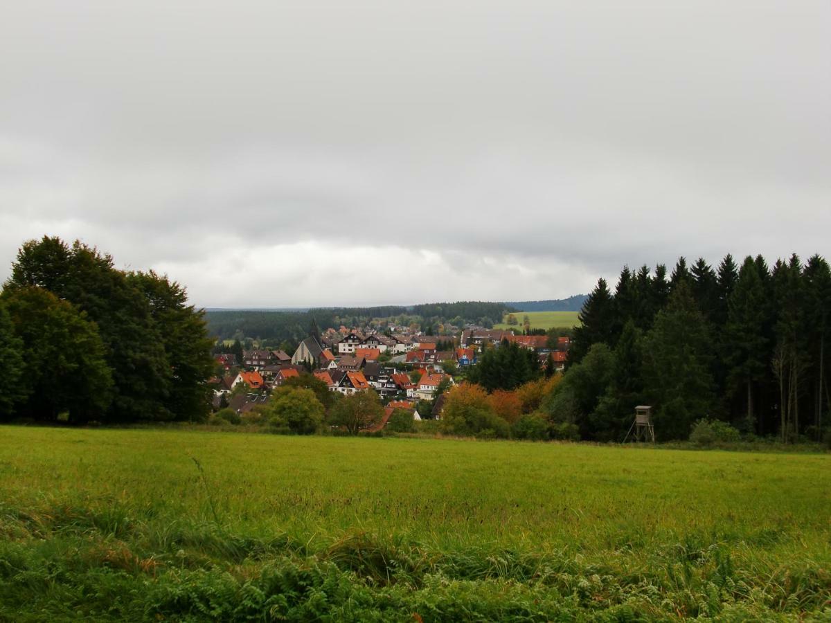 Ferienwohnung Arnika Inklusive Waeschepaket Braunlage Extérieur photo