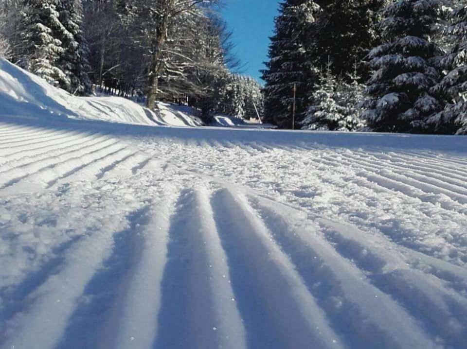 Ferienwohnung Arnika Inklusive Waeschepaket Braunlage Extérieur photo