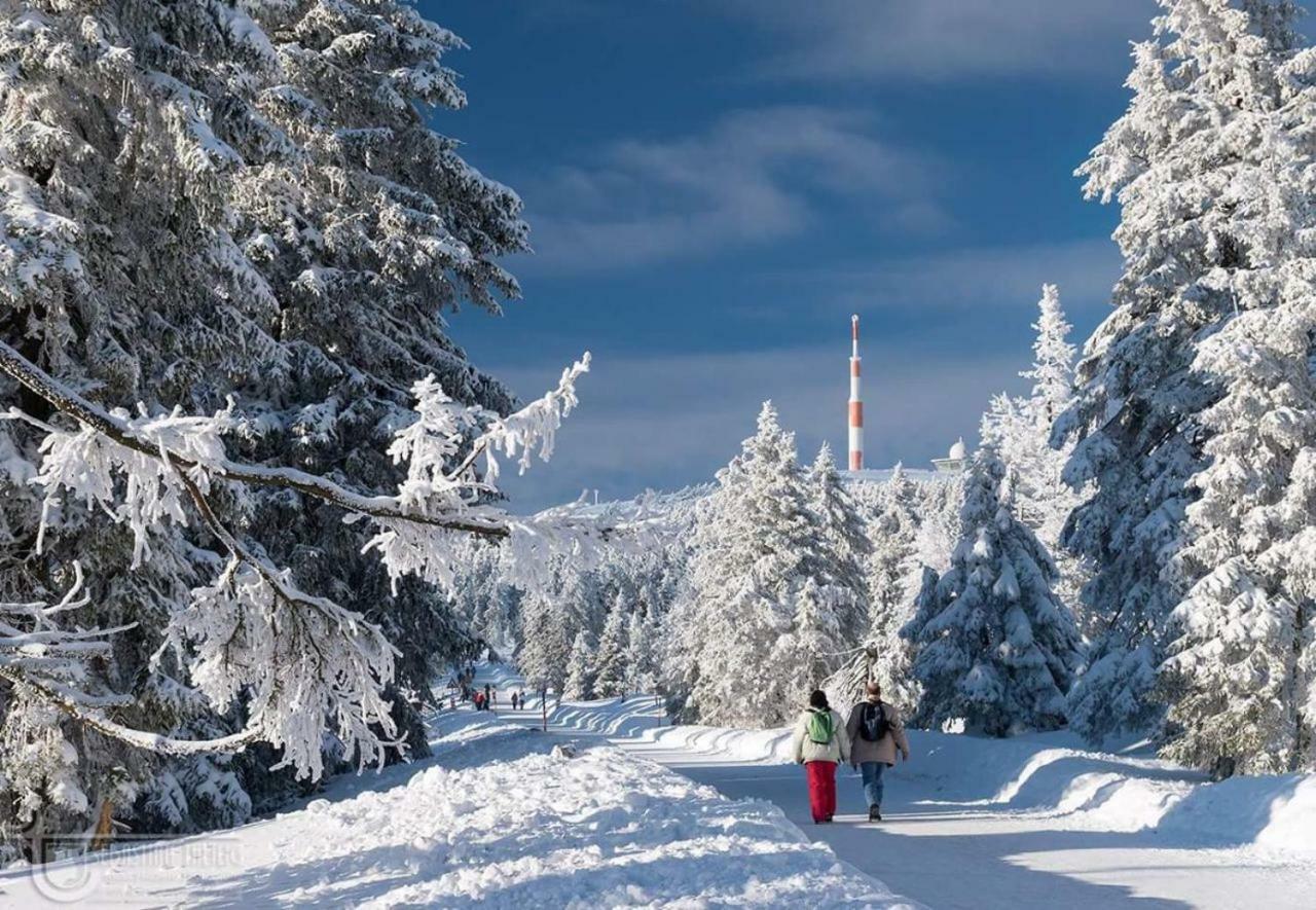 Ferienwohnung Arnika Inklusive Waeschepaket Braunlage Extérieur photo